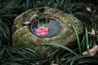 DSC_1701HangZhou