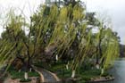 DSC_1731HangZhou