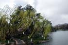 DSC_1733HangZhou