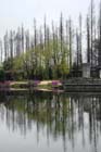 DSC_1818HangZhou