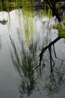 DSC_1826HangZhou