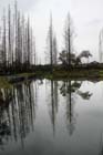 DSC_1841HangZhou