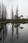 DSC_1844HangZhou