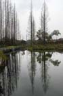 DSC_1847HangZhou
