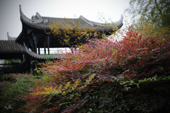 DSC_0033Chengdu