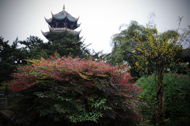 DSC_0037Chengdu