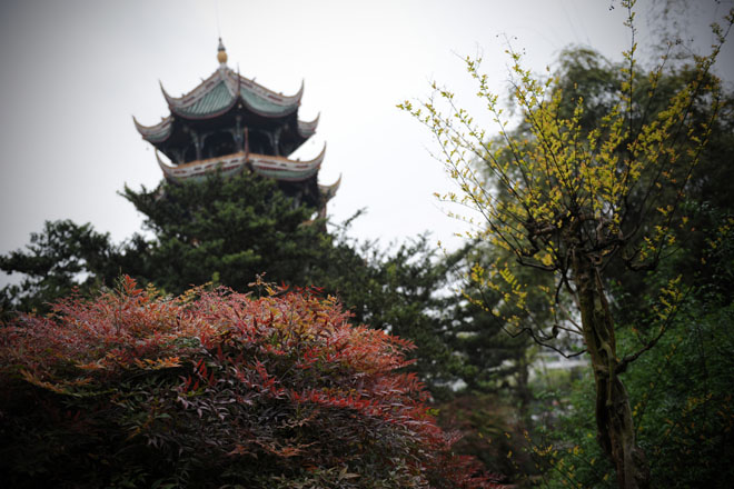 DSC_0039Chengdu