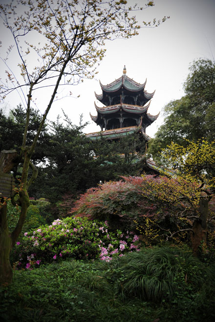 DSC_0041Chengdu