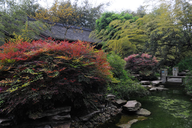 DSC_0081Chengdu