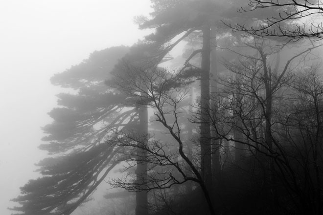 DSC_0569HuangShan