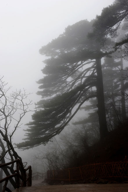 DSC_0581HuangShan