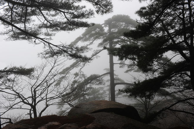 DSC_0708HuangShan