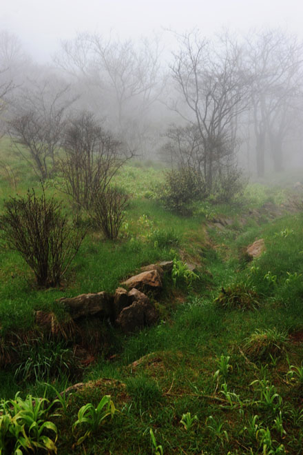 DSC_0741HuangShan