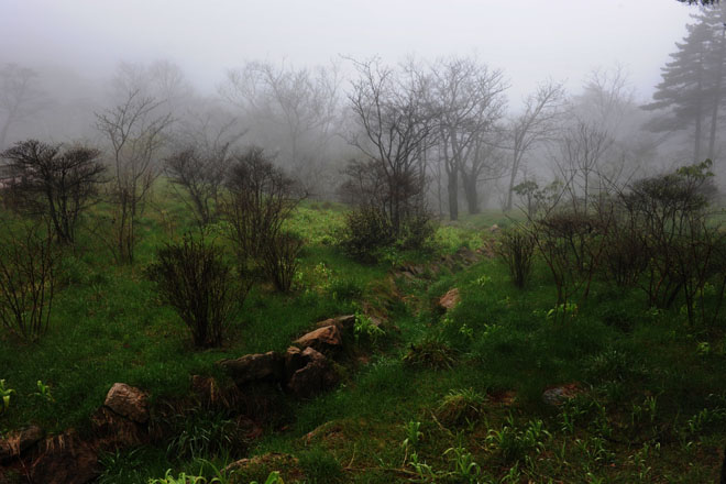 DSC_0743HuangShan
