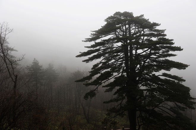 DSC_0763HuangShan