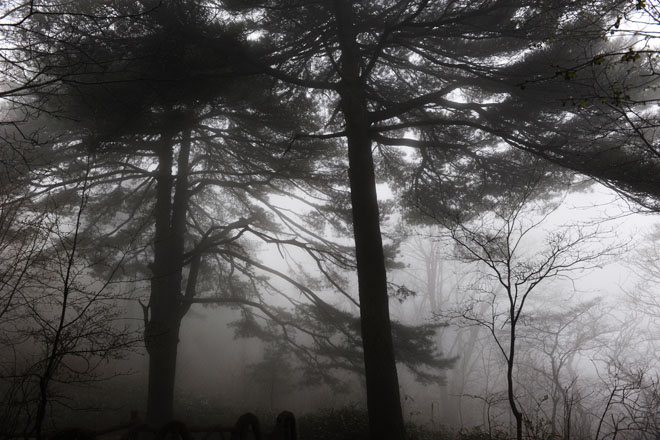 DSC_0773HuangShan