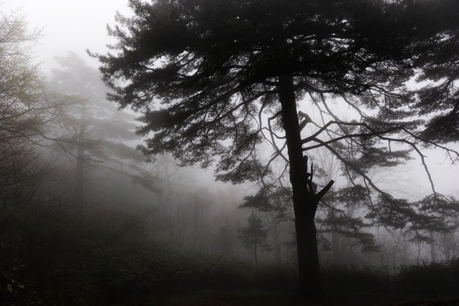DSC_0774HuangShan