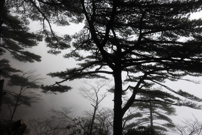 DSC_0810HuangShan