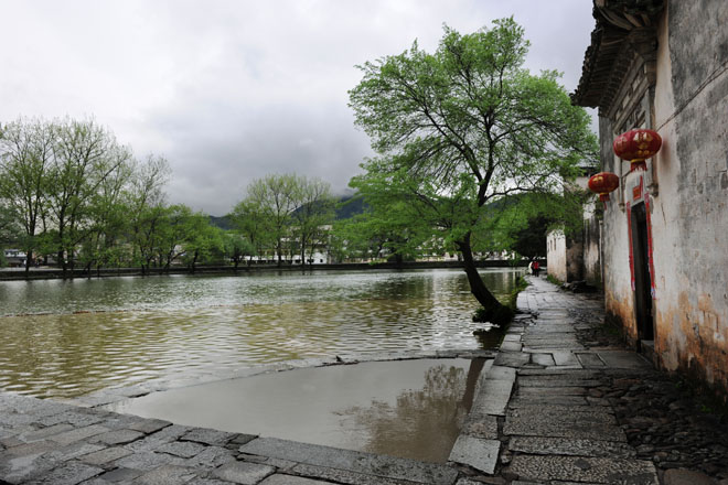 DSC_0920HongCun