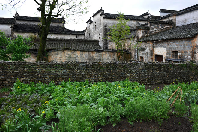 DSC_0935HongCun