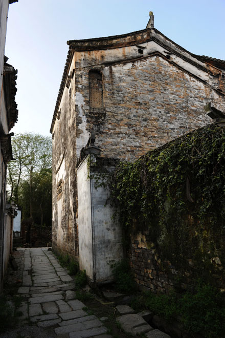 DSC_1513ChengKan