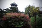 DSC_0037Chengdu