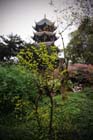 DSC_0040Chengdu