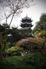 DSC_0041Chengdu