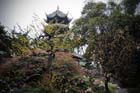 DSC_0044Chengdu