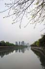 DSC_0135Chengdu
