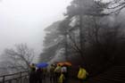 DSC_0568HuangShan