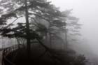 DSC_0572HuangShan