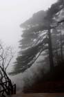 DSC_0581HuangShan