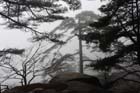 DSC_0708HuangShan