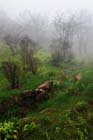 DSC_0741HuangShan