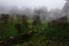 DSC_0743HuangShan