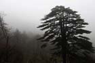 DSC_0763HuangShan