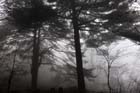 DSC_0773HuangShan