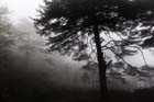 DSC_0774HuangShan