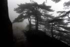 DSC_0796bHuangShan