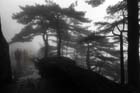 DSC_0800HuangShan