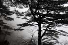 DSC_0810HuangShan