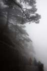 DSC_0827HuangShan