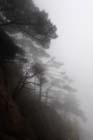 DSC_0832HuangShan