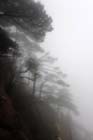DSC_0834HuangShan