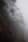 DSC_0836HuangShan