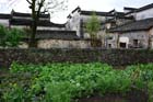 DSC_0935HongCun