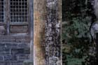 DSC_1433ChengKan