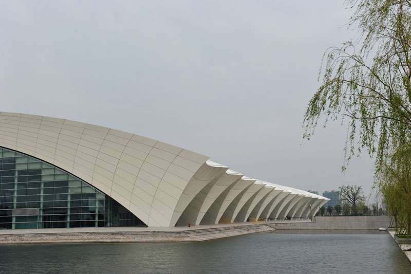 DSC_0907