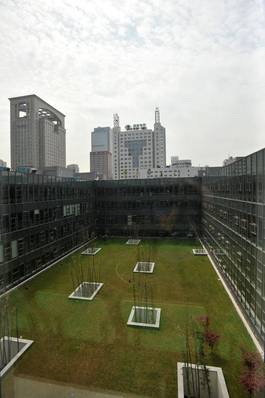 DSC_1480